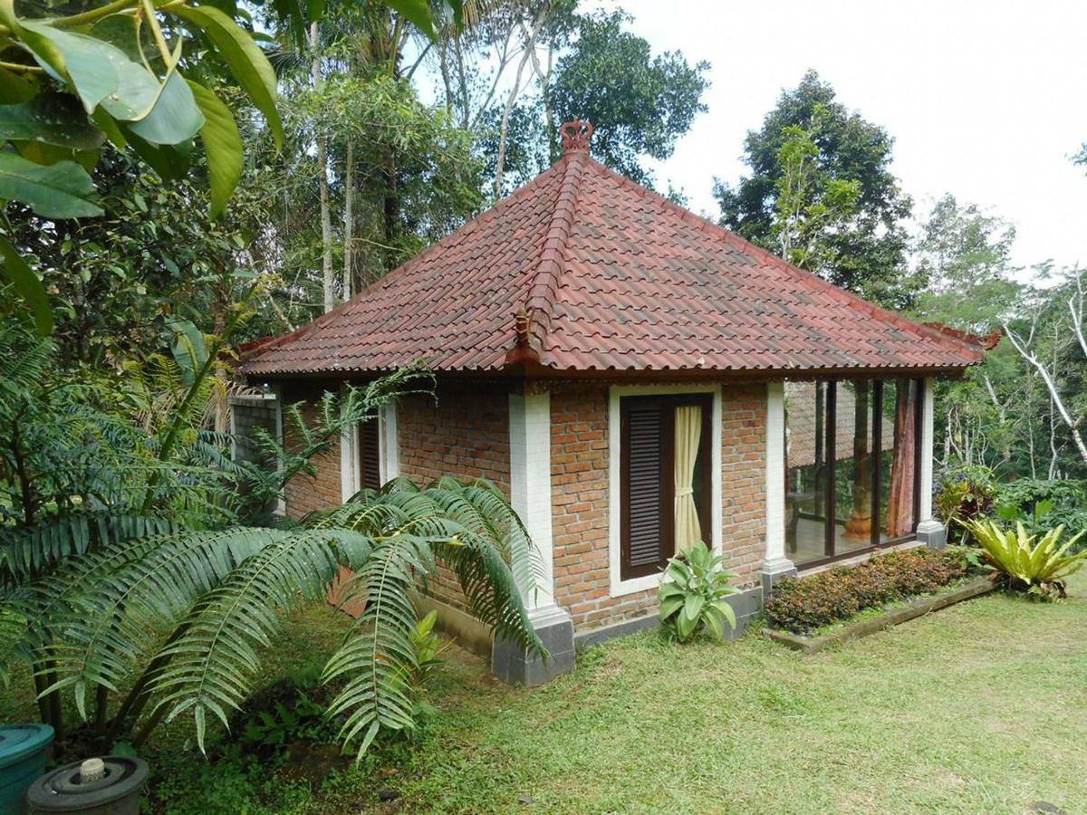 Tegal Jero Homestay Jatiluwih Exterior foto